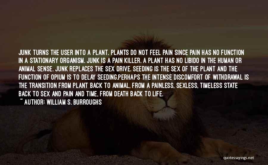 William S. Burroughs Quotes: Junk Turns The User Into A Plant. Plants Do Not Feel Pain Since Pain Has No Function In A Stationary