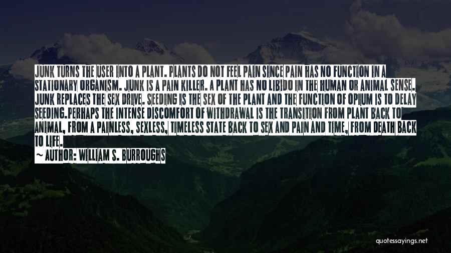 William S. Burroughs Quotes: Junk Turns The User Into A Plant. Plants Do Not Feel Pain Since Pain Has No Function In A Stationary