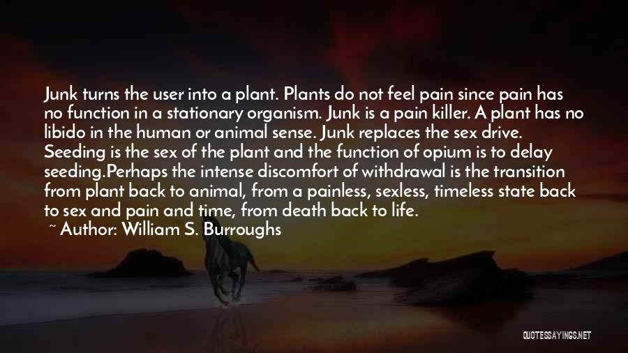 William S. Burroughs Quotes: Junk Turns The User Into A Plant. Plants Do Not Feel Pain Since Pain Has No Function In A Stationary