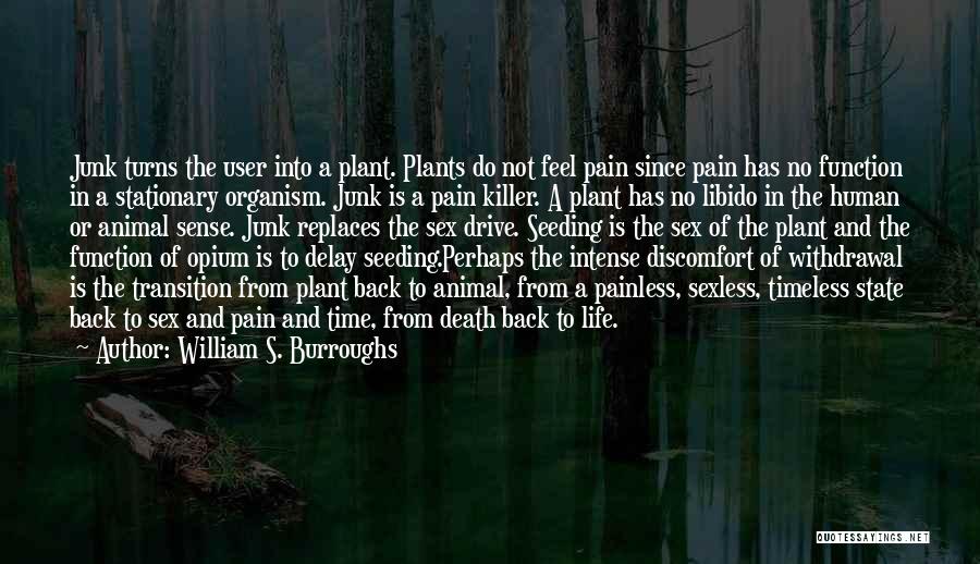 William S. Burroughs Quotes: Junk Turns The User Into A Plant. Plants Do Not Feel Pain Since Pain Has No Function In A Stationary