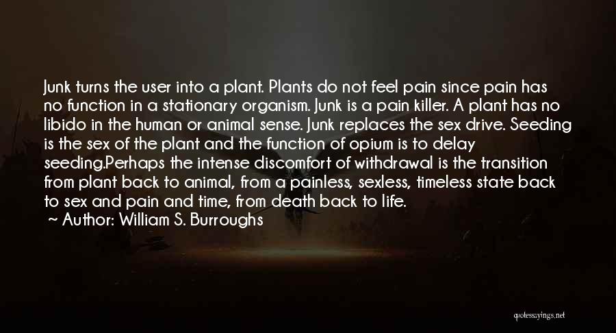 William S. Burroughs Quotes: Junk Turns The User Into A Plant. Plants Do Not Feel Pain Since Pain Has No Function In A Stationary