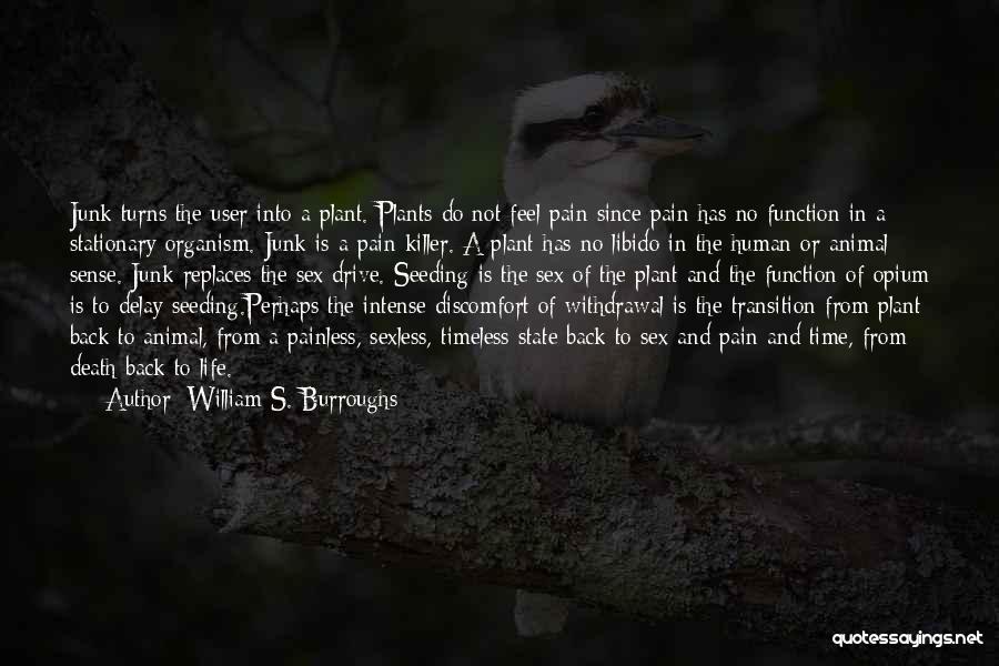 William S. Burroughs Quotes: Junk Turns The User Into A Plant. Plants Do Not Feel Pain Since Pain Has No Function In A Stationary