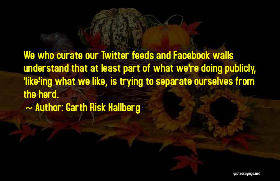 Garth Risk Hallberg Quotes: We Who Curate Our Twitter Feeds And Facebook Walls Understand That At Least Part Of What We're Doing Publicly, 'like'-ing