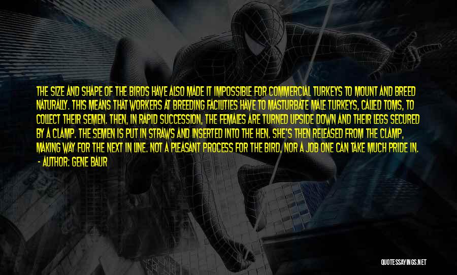Gene Baur Quotes: The Size And Shape Of The Birds Have Also Made It Impossible For Commercial Turkeys To Mount And Breed Naturally.