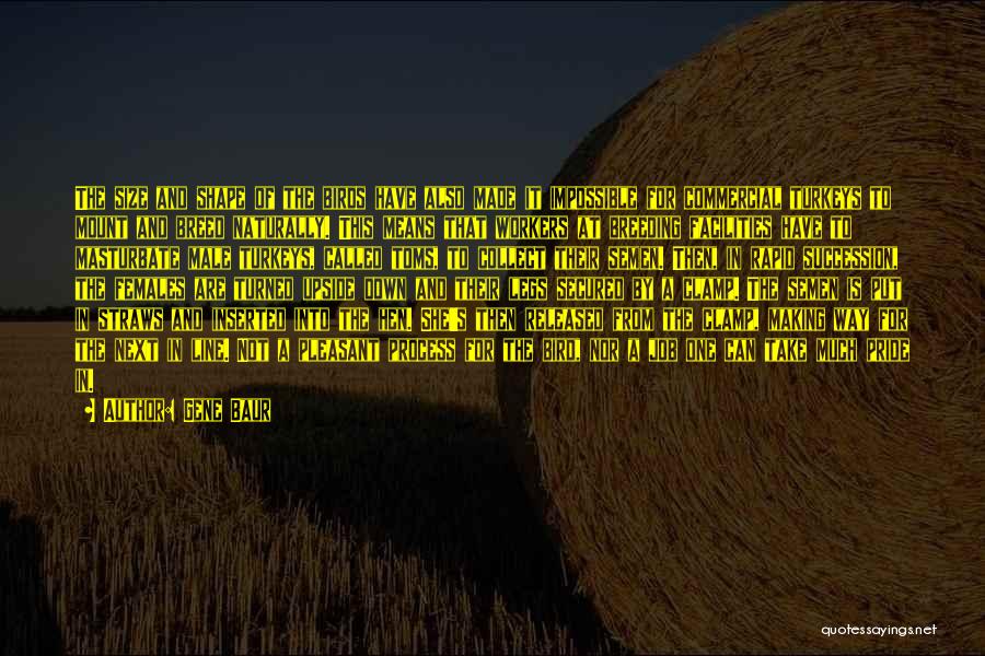 Gene Baur Quotes: The Size And Shape Of The Birds Have Also Made It Impossible For Commercial Turkeys To Mount And Breed Naturally.