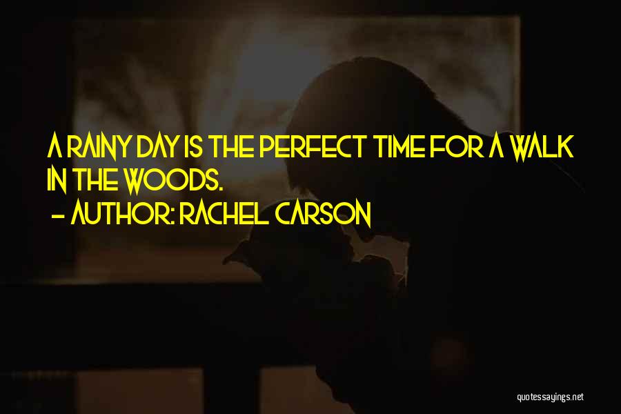 Rachel Carson Quotes: A Rainy Day Is The Perfect Time For A Walk In The Woods.