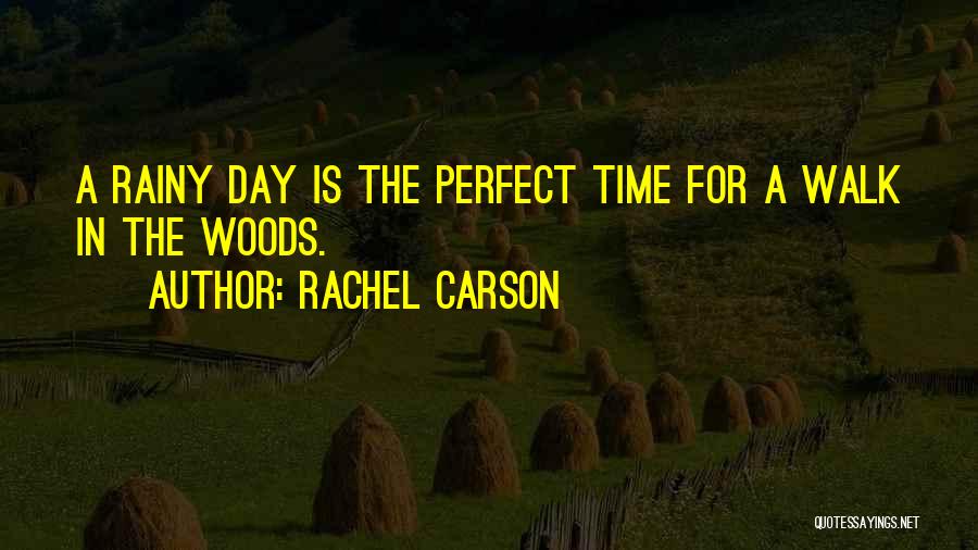 Rachel Carson Quotes: A Rainy Day Is The Perfect Time For A Walk In The Woods.