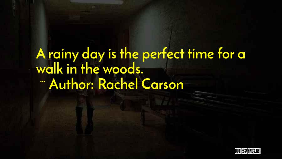 Rachel Carson Quotes: A Rainy Day Is The Perfect Time For A Walk In The Woods.