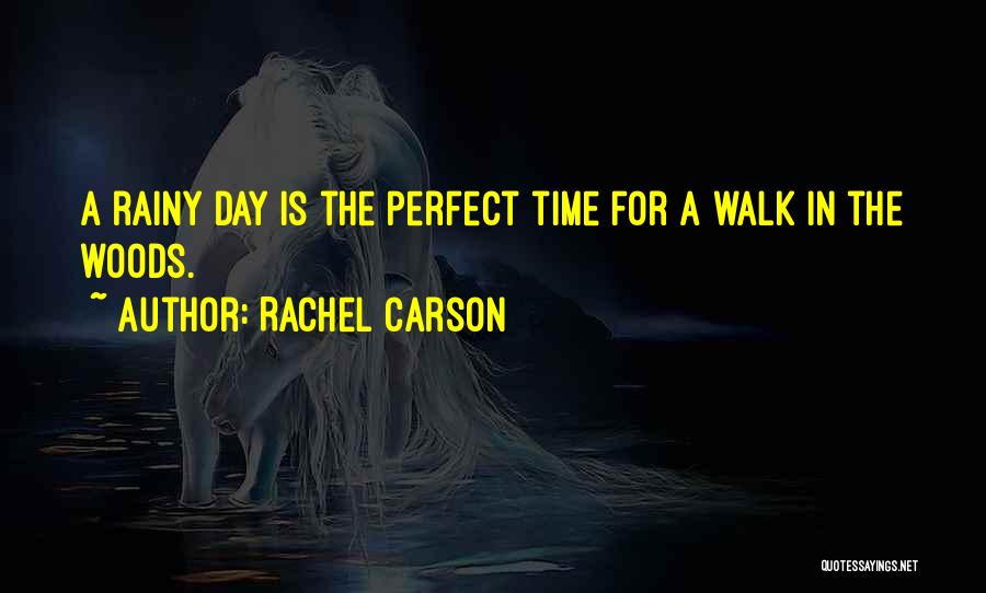 Rachel Carson Quotes: A Rainy Day Is The Perfect Time For A Walk In The Woods.