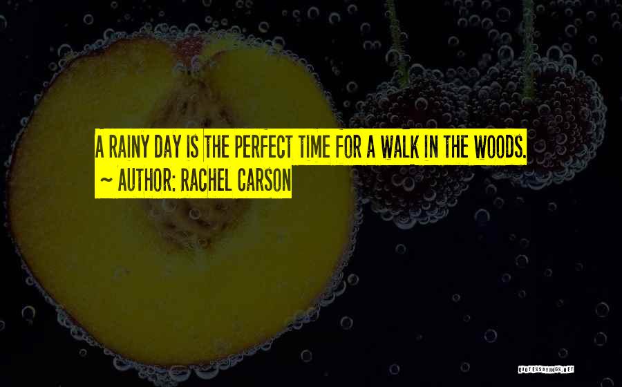 Rachel Carson Quotes: A Rainy Day Is The Perfect Time For A Walk In The Woods.