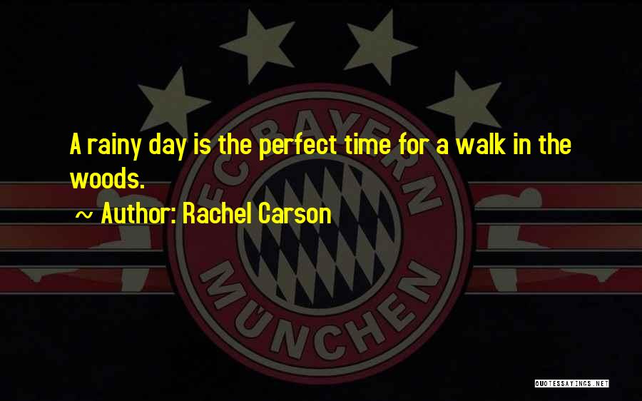Rachel Carson Quotes: A Rainy Day Is The Perfect Time For A Walk In The Woods.