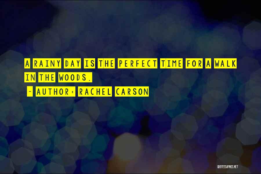 Rachel Carson Quotes: A Rainy Day Is The Perfect Time For A Walk In The Woods.