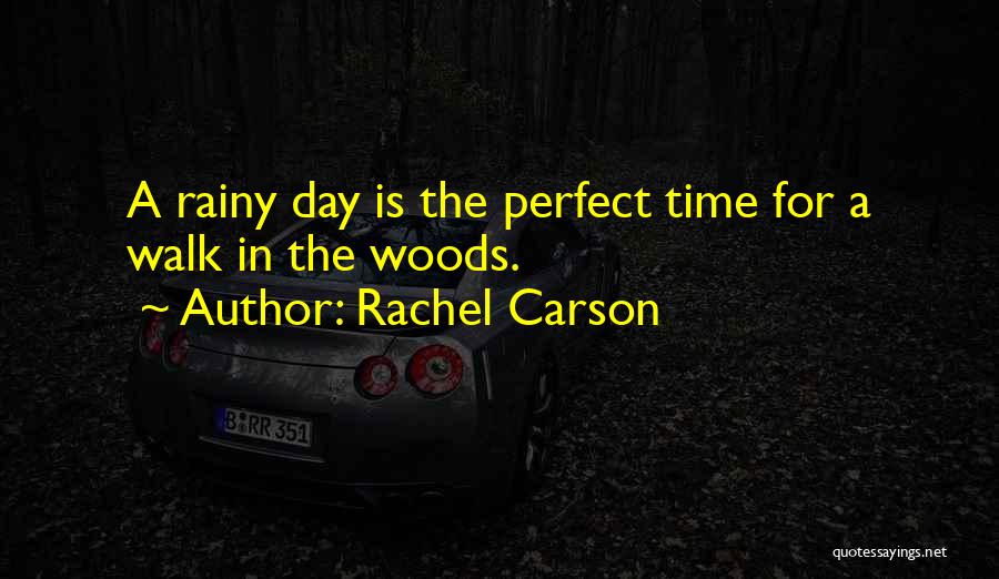 Rachel Carson Quotes: A Rainy Day Is The Perfect Time For A Walk In The Woods.