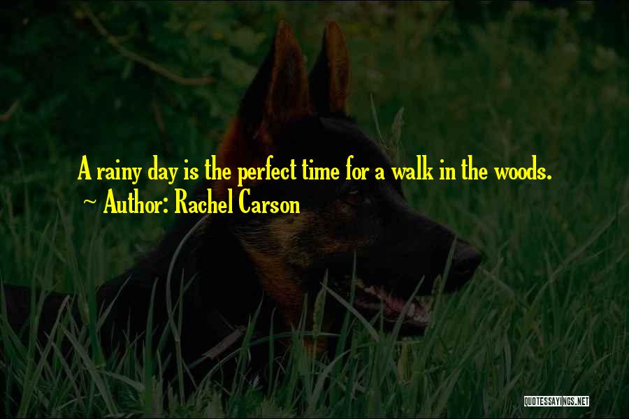 Rachel Carson Quotes: A Rainy Day Is The Perfect Time For A Walk In The Woods.
