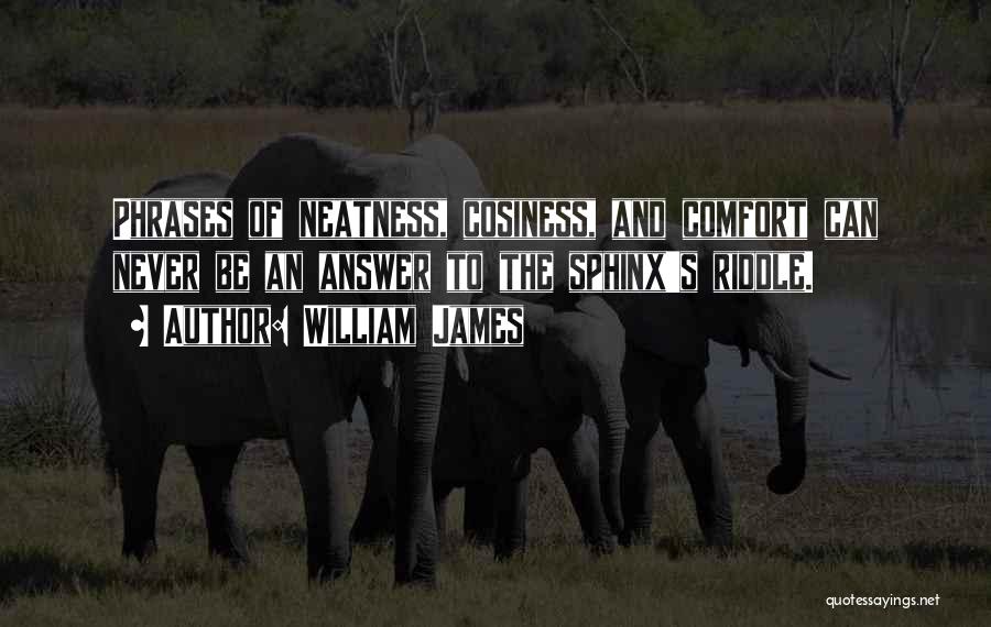 William James Quotes: Phrases Of Neatness, Cosiness, And Comfort Can Never Be An Answer To The Sphinx's Riddle.