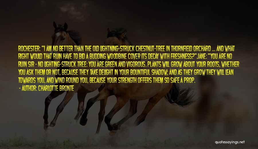 Charlotte Bronte Quotes: Rochester: I Am No Better Than The Old Lightning-struck Chestnut-tree In Thornfield Orchard ... And What Right Would That Ruin