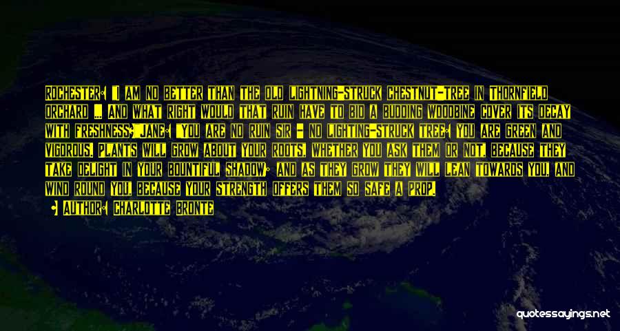 Charlotte Bronte Quotes: Rochester: I Am No Better Than The Old Lightning-struck Chestnut-tree In Thornfield Orchard ... And What Right Would That Ruin