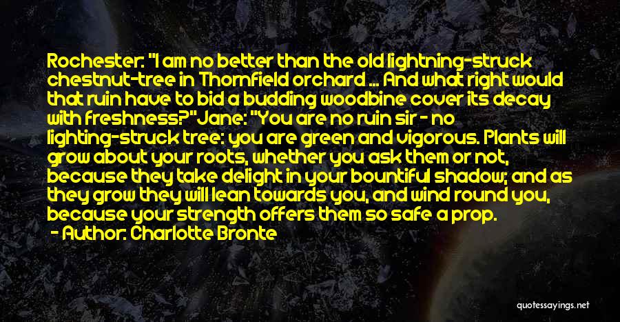 Charlotte Bronte Quotes: Rochester: I Am No Better Than The Old Lightning-struck Chestnut-tree In Thornfield Orchard ... And What Right Would That Ruin