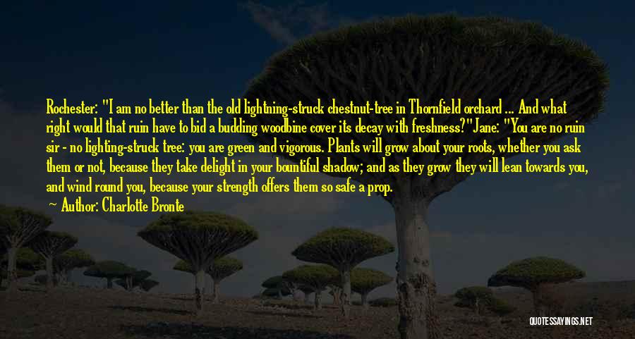 Charlotte Bronte Quotes: Rochester: I Am No Better Than The Old Lightning-struck Chestnut-tree In Thornfield Orchard ... And What Right Would That Ruin