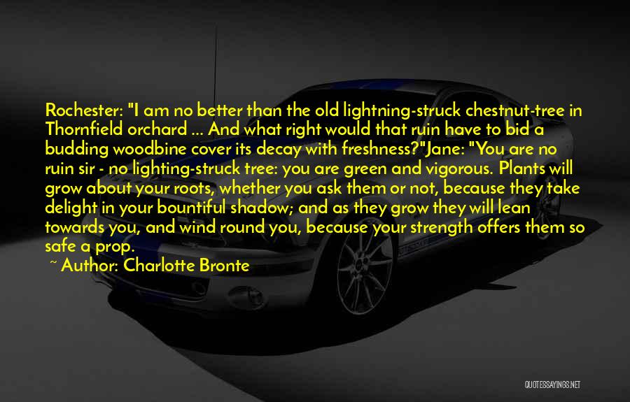 Charlotte Bronte Quotes: Rochester: I Am No Better Than The Old Lightning-struck Chestnut-tree In Thornfield Orchard ... And What Right Would That Ruin