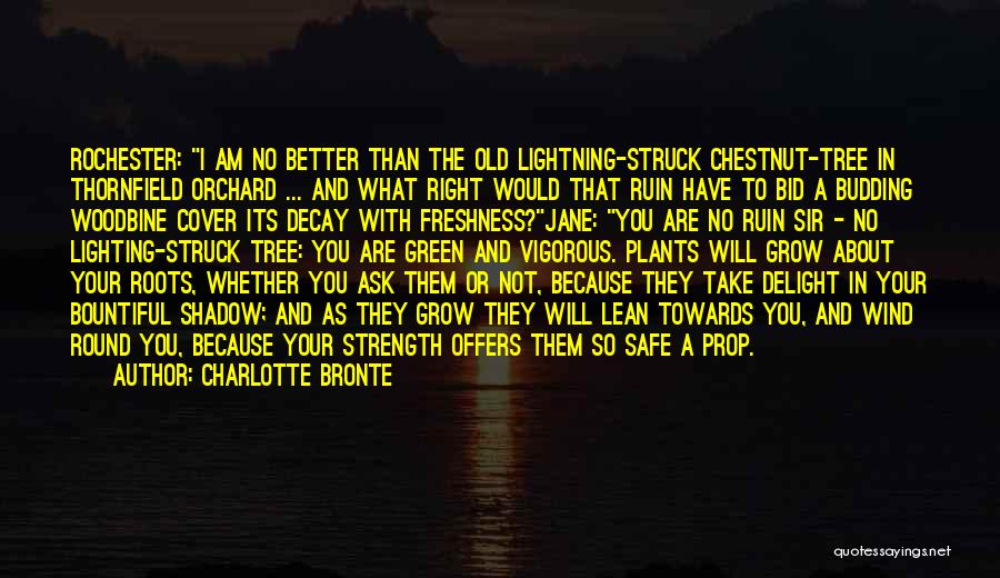 Charlotte Bronte Quotes: Rochester: I Am No Better Than The Old Lightning-struck Chestnut-tree In Thornfield Orchard ... And What Right Would That Ruin