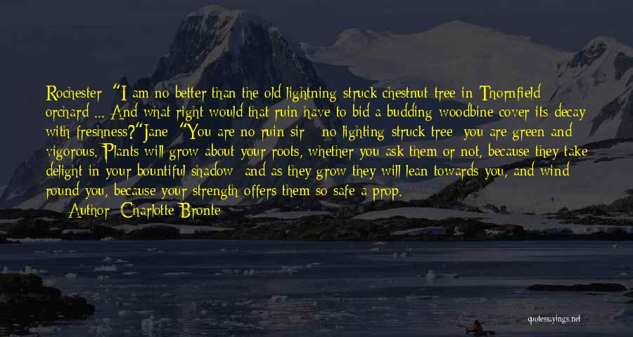 Charlotte Bronte Quotes: Rochester: I Am No Better Than The Old Lightning-struck Chestnut-tree In Thornfield Orchard ... And What Right Would That Ruin