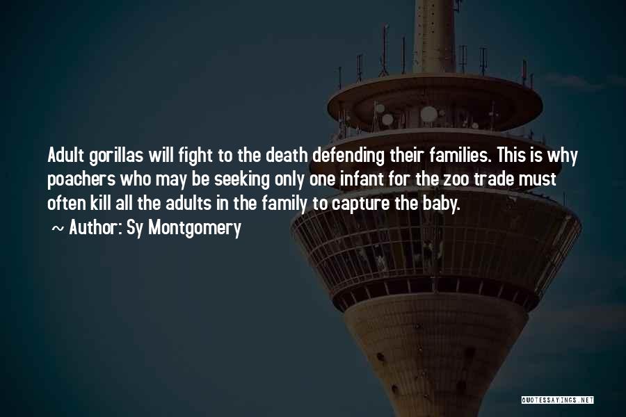 Sy Montgomery Quotes: Adult Gorillas Will Fight To The Death Defending Their Families. This Is Why Poachers Who May Be Seeking Only One