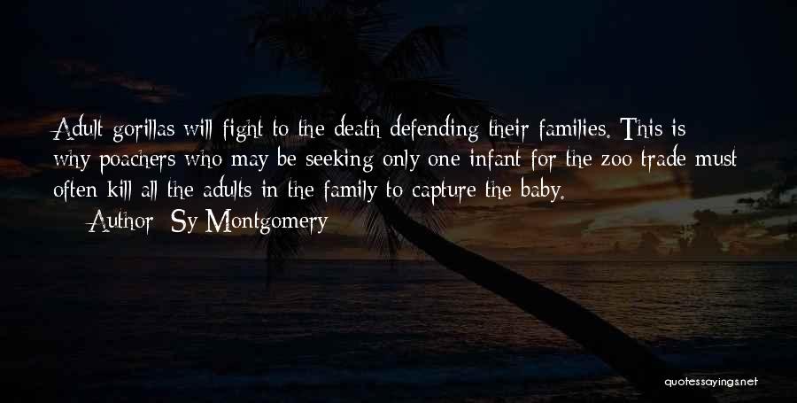 Sy Montgomery Quotes: Adult Gorillas Will Fight To The Death Defending Their Families. This Is Why Poachers Who May Be Seeking Only One