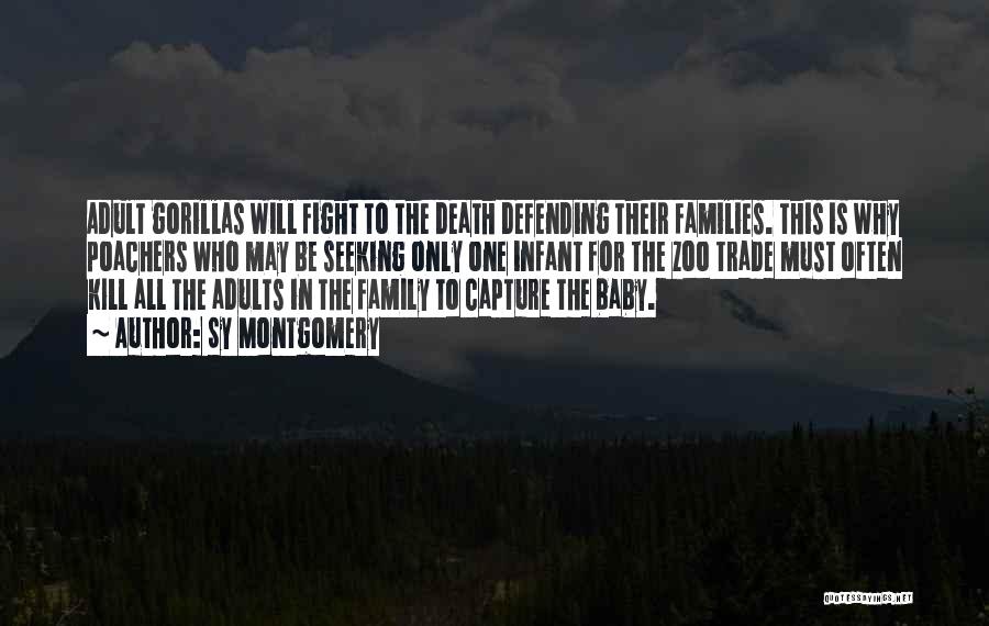 Sy Montgomery Quotes: Adult Gorillas Will Fight To The Death Defending Their Families. This Is Why Poachers Who May Be Seeking Only One