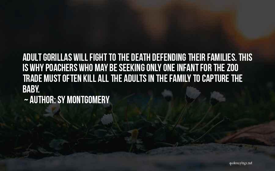 Sy Montgomery Quotes: Adult Gorillas Will Fight To The Death Defending Their Families. This Is Why Poachers Who May Be Seeking Only One