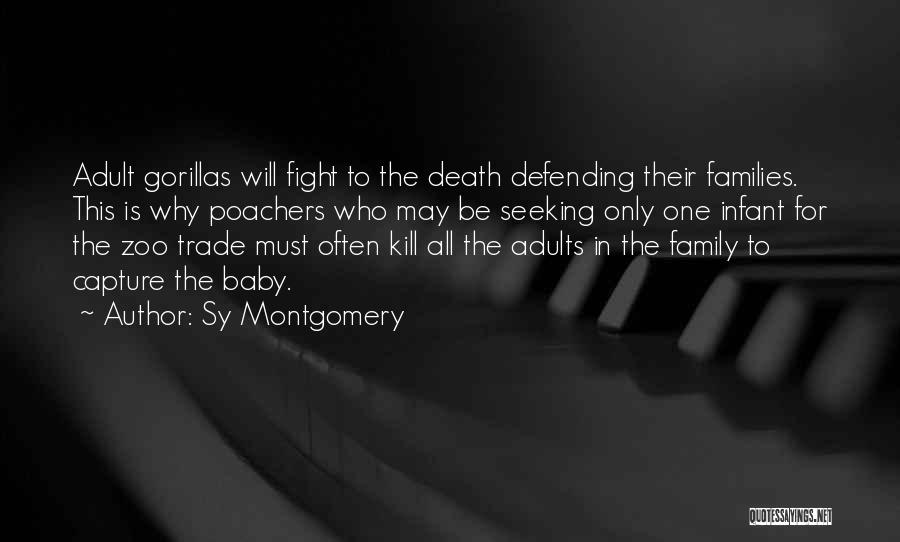 Sy Montgomery Quotes: Adult Gorillas Will Fight To The Death Defending Their Families. This Is Why Poachers Who May Be Seeking Only One