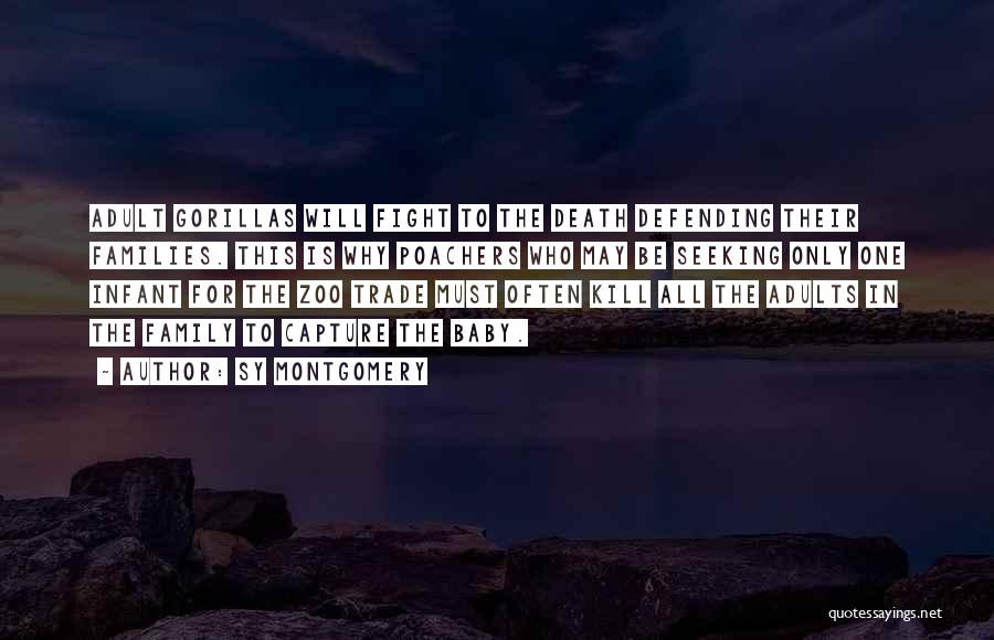 Sy Montgomery Quotes: Adult Gorillas Will Fight To The Death Defending Their Families. This Is Why Poachers Who May Be Seeking Only One