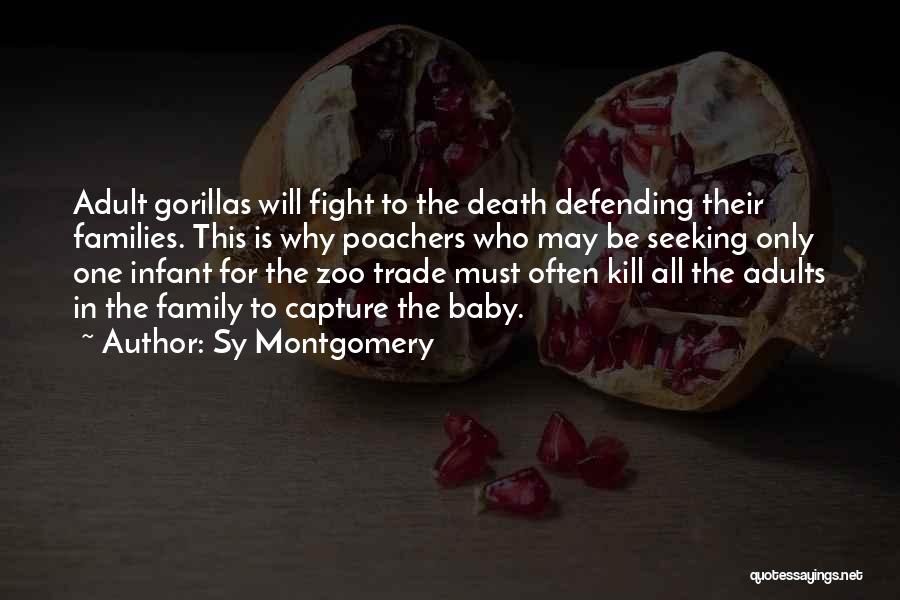 Sy Montgomery Quotes: Adult Gorillas Will Fight To The Death Defending Their Families. This Is Why Poachers Who May Be Seeking Only One