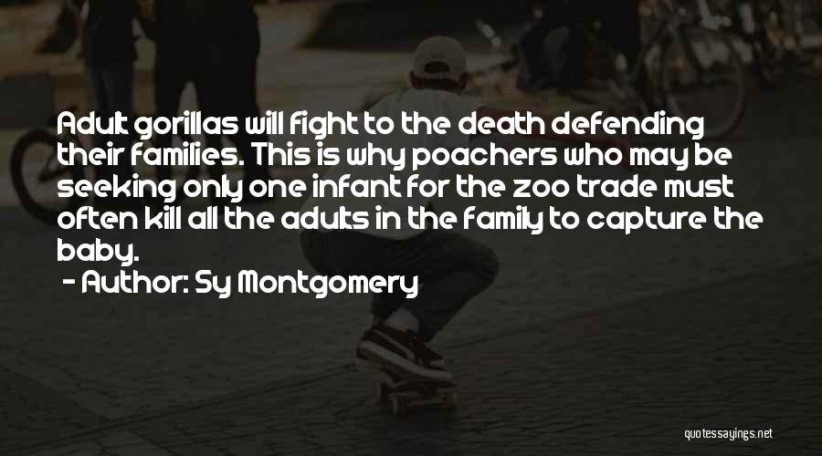 Sy Montgomery Quotes: Adult Gorillas Will Fight To The Death Defending Their Families. This Is Why Poachers Who May Be Seeking Only One