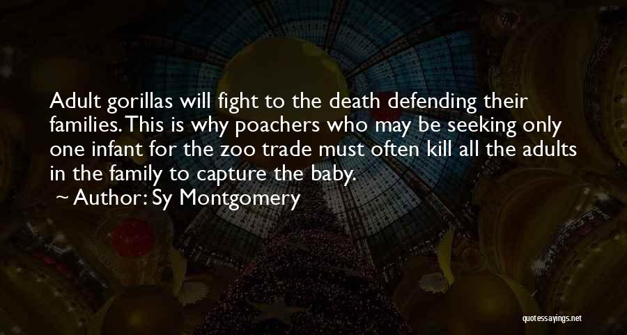 Sy Montgomery Quotes: Adult Gorillas Will Fight To The Death Defending Their Families. This Is Why Poachers Who May Be Seeking Only One