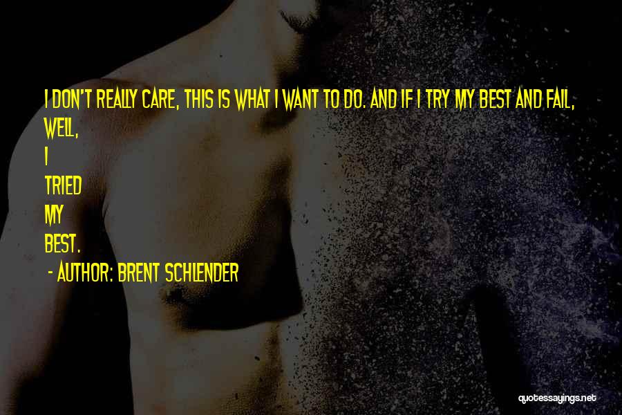 Brent Schlender Quotes: I Don't Really Care, This Is What I Want To Do. And If I Try My Best And Fail, Well,