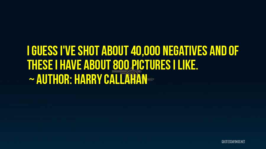 Harry Callahan Quotes: I Guess I've Shot About 40,000 Negatives And Of These I Have About 800 Pictures I Like.