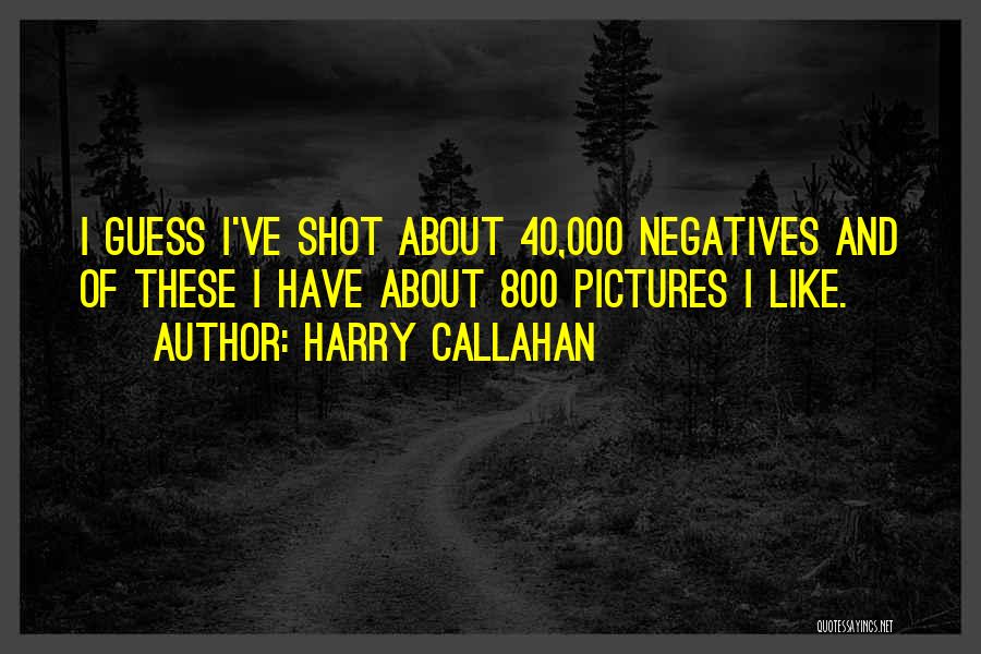 Harry Callahan Quotes: I Guess I've Shot About 40,000 Negatives And Of These I Have About 800 Pictures I Like.