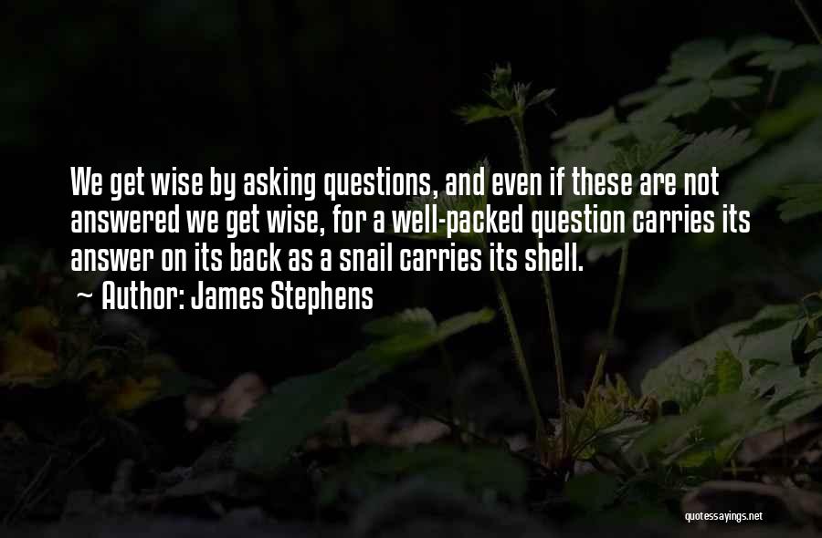 James Stephens Quotes: We Get Wise By Asking Questions, And Even If These Are Not Answered We Get Wise, For A Well-packed Question