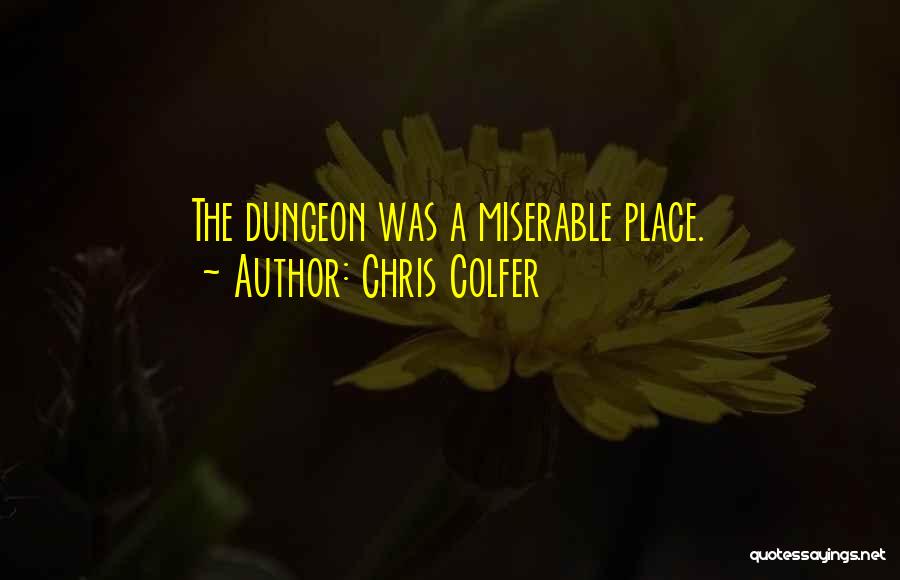 Chris Colfer Quotes: The Dungeon Was A Miserable Place.