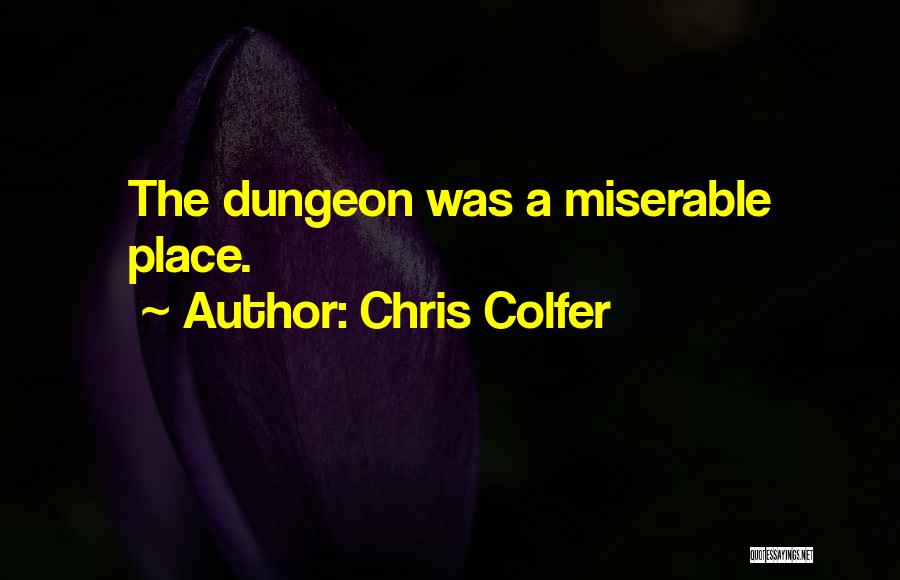 Chris Colfer Quotes: The Dungeon Was A Miserable Place.