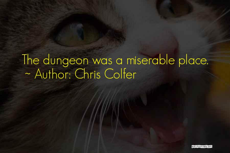 Chris Colfer Quotes: The Dungeon Was A Miserable Place.