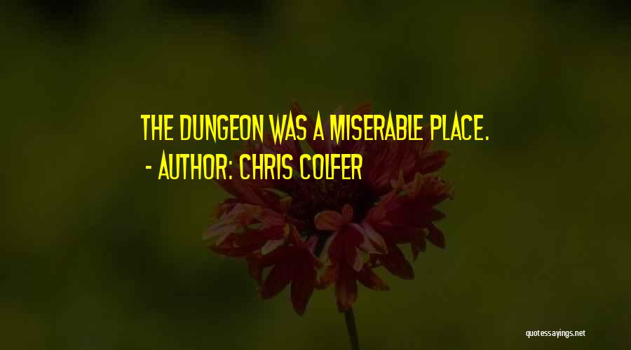 Chris Colfer Quotes: The Dungeon Was A Miserable Place.