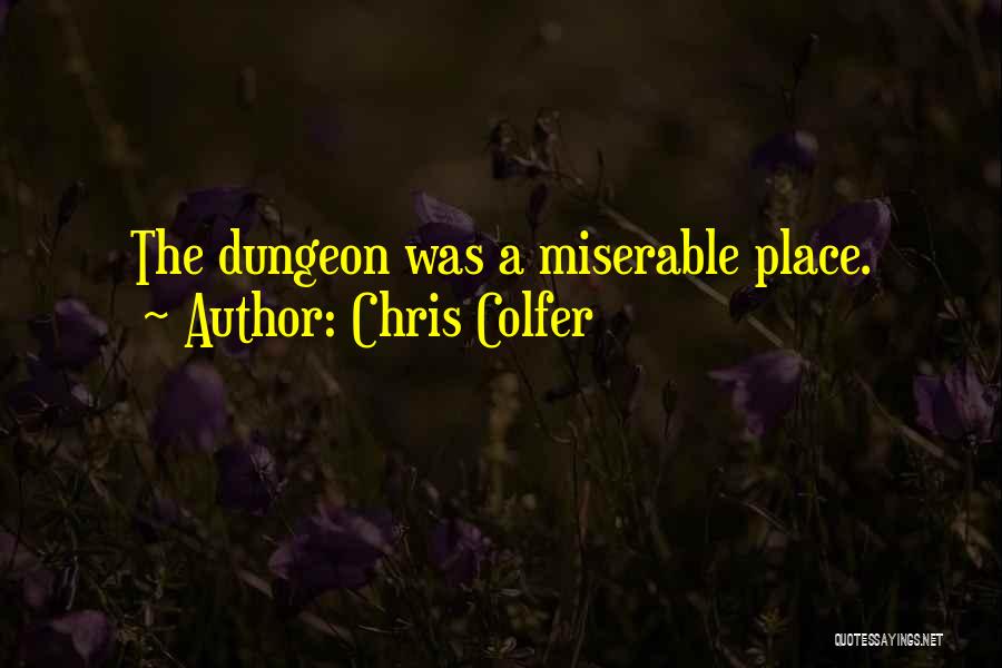 Chris Colfer Quotes: The Dungeon Was A Miserable Place.