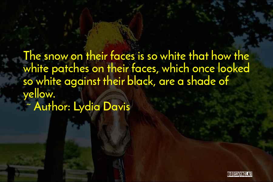 Lydia Davis Quotes: The Snow On Their Faces Is So White That How The White Patches On Their Faces, Which Once Looked So