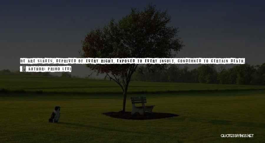 Primo Levi Quotes: We Are Slaves, Deprived Of Every Right, Exposed To Every Insult, Condemned To Certain Death, But We Still Possess One