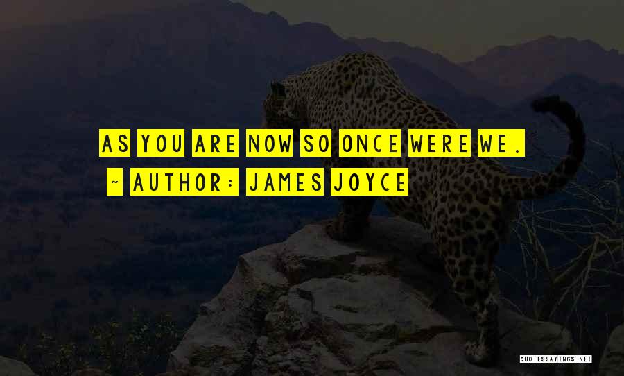 James Joyce Quotes: As You Are Now So Once Were We.