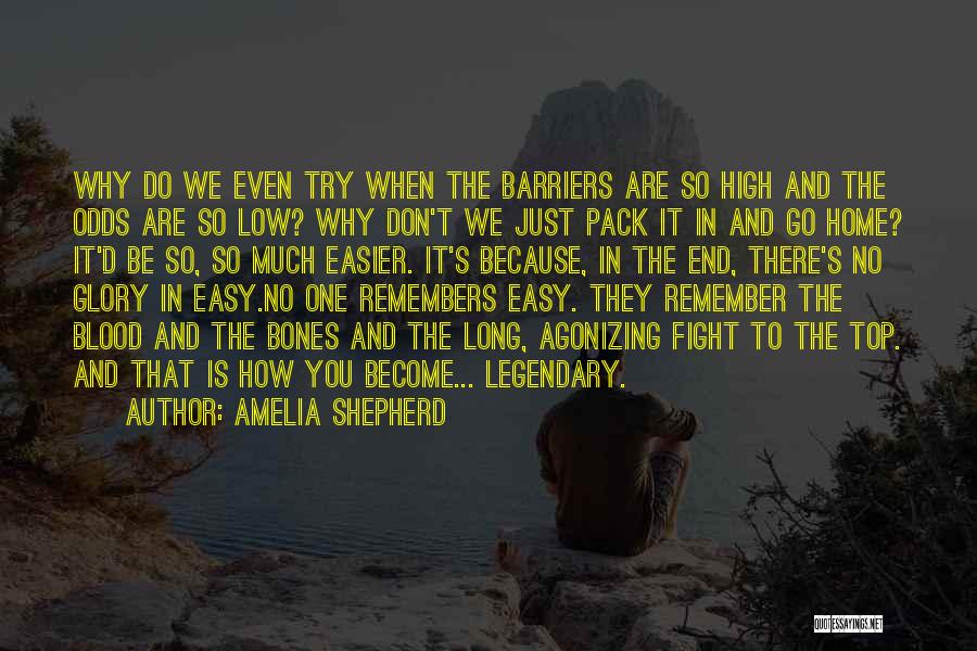 Amelia Shepherd Quotes: Why Do We Even Try When The Barriers Are So High And The Odds Are So Low? Why Don't We