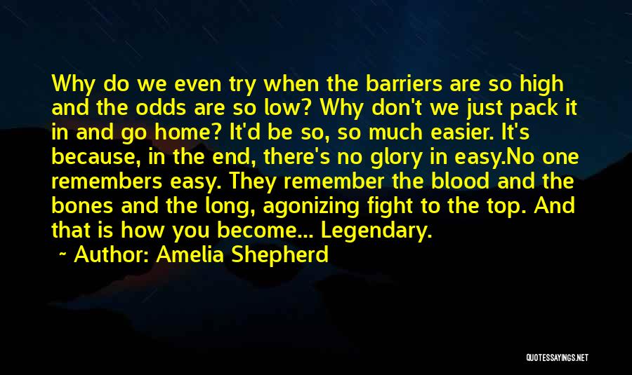 Amelia Shepherd Quotes: Why Do We Even Try When The Barriers Are So High And The Odds Are So Low? Why Don't We