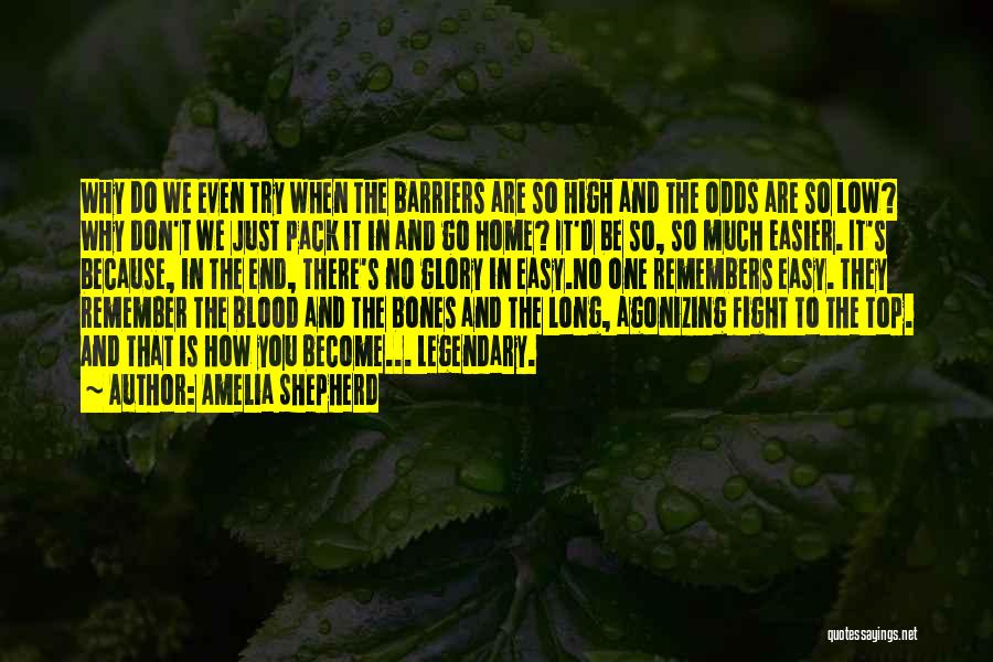 Amelia Shepherd Quotes: Why Do We Even Try When The Barriers Are So High And The Odds Are So Low? Why Don't We
